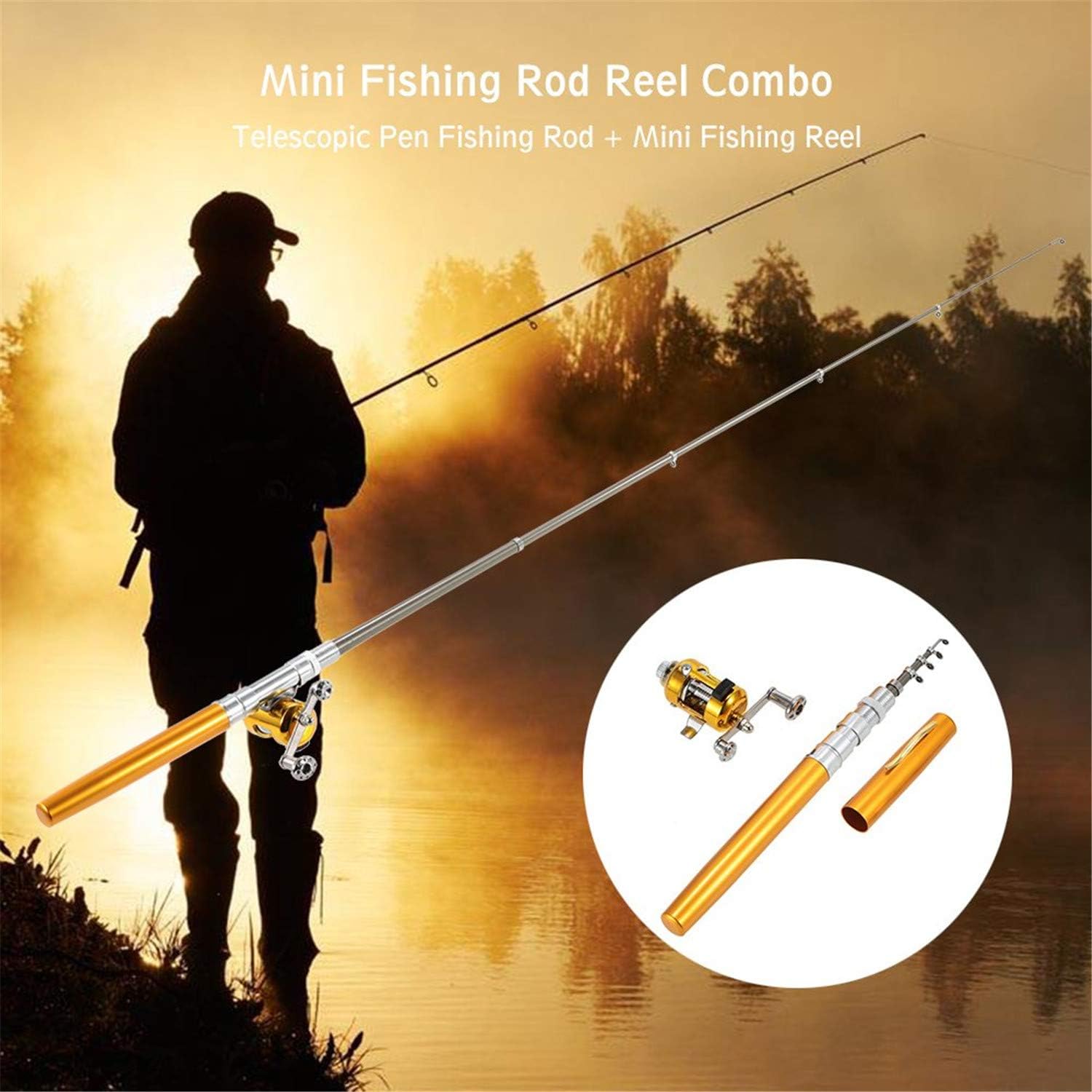 Stift-Angelrute und Rollen-Kom – Penn Reel Fierce Bewertung und Preis