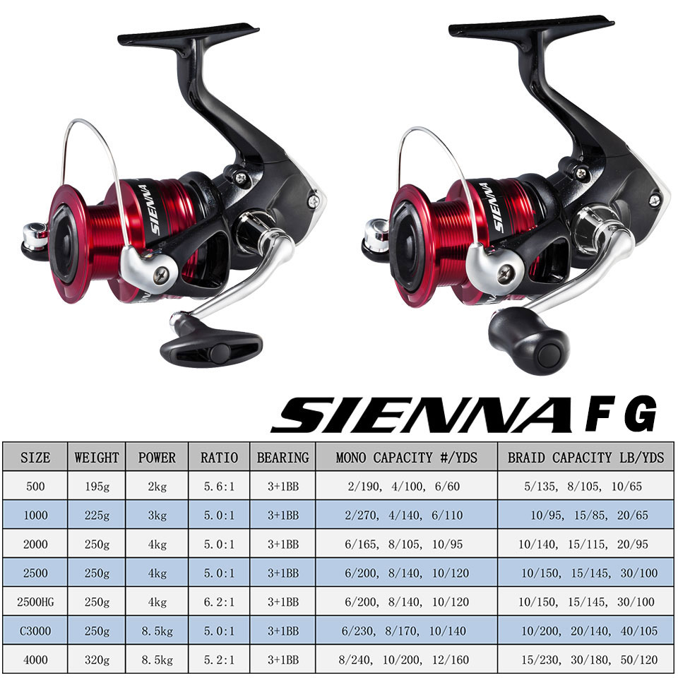 SHIMANO SIENNA Spinn-Angelroll – Shimano Reel Sienna Bewertung und Preis